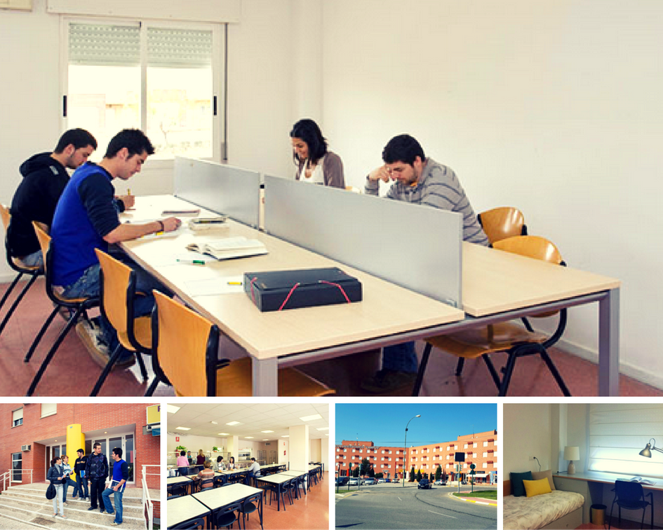 ¿Cómo se viven los exámenes en los apartamentos de estudiantes del Campus de Murcia? 