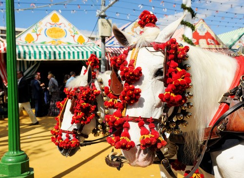 3 ferias que no puedes perderte este mes de mayo si estudias en Cádiz 