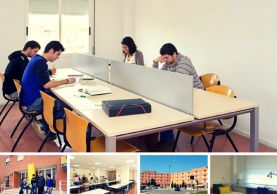 ¿Cómo se viven los exámenes en los apartamentos de estudiantes del Campus de Murcia? 